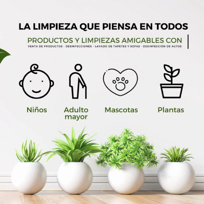 Lavado de tapetes pequeños y grandes en Bogotá