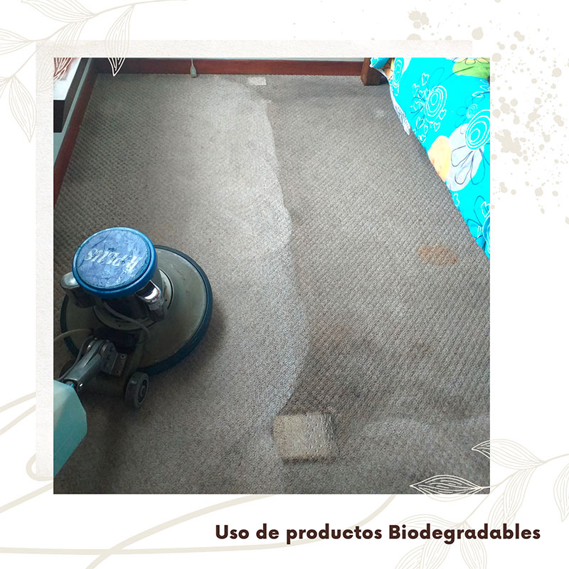 Lavado profesional de tapetes de sala en Bogotá