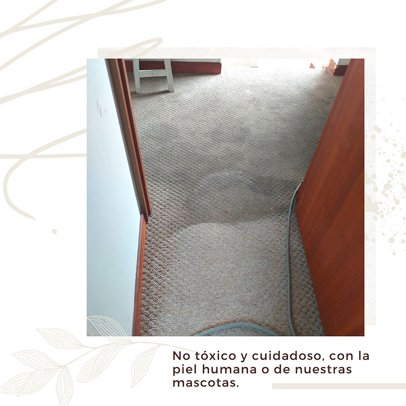 Lavado profesional de tapete decorativo Bogotá
